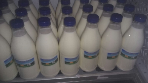 Pasteurisierte Milch